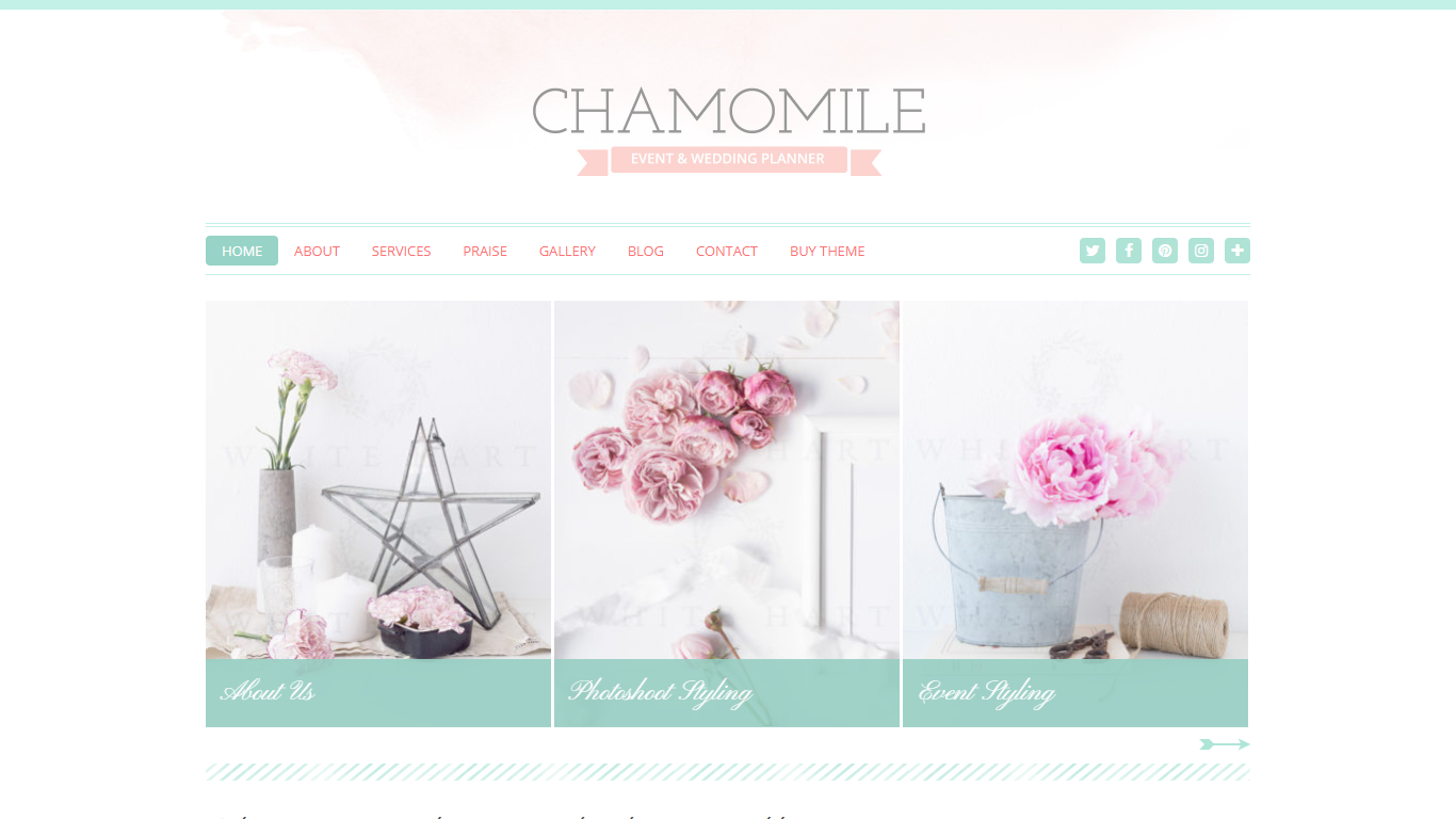 fashion theme by chamomile