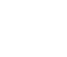 Vector