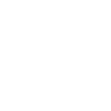 King Icon