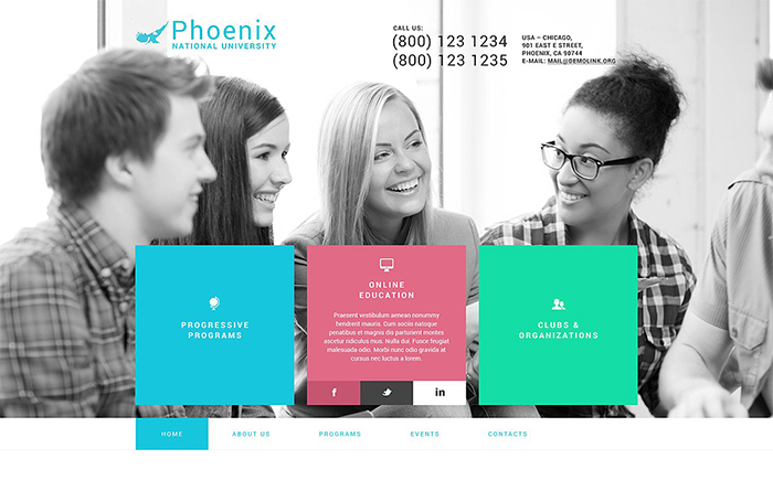 Education Wordpress Themes: Top 15 to Launch an Educational Website 207 Phoenix WordPress Theme