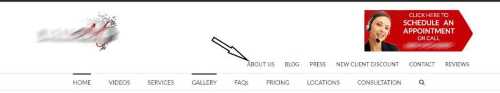 avada v4 header custom final 500