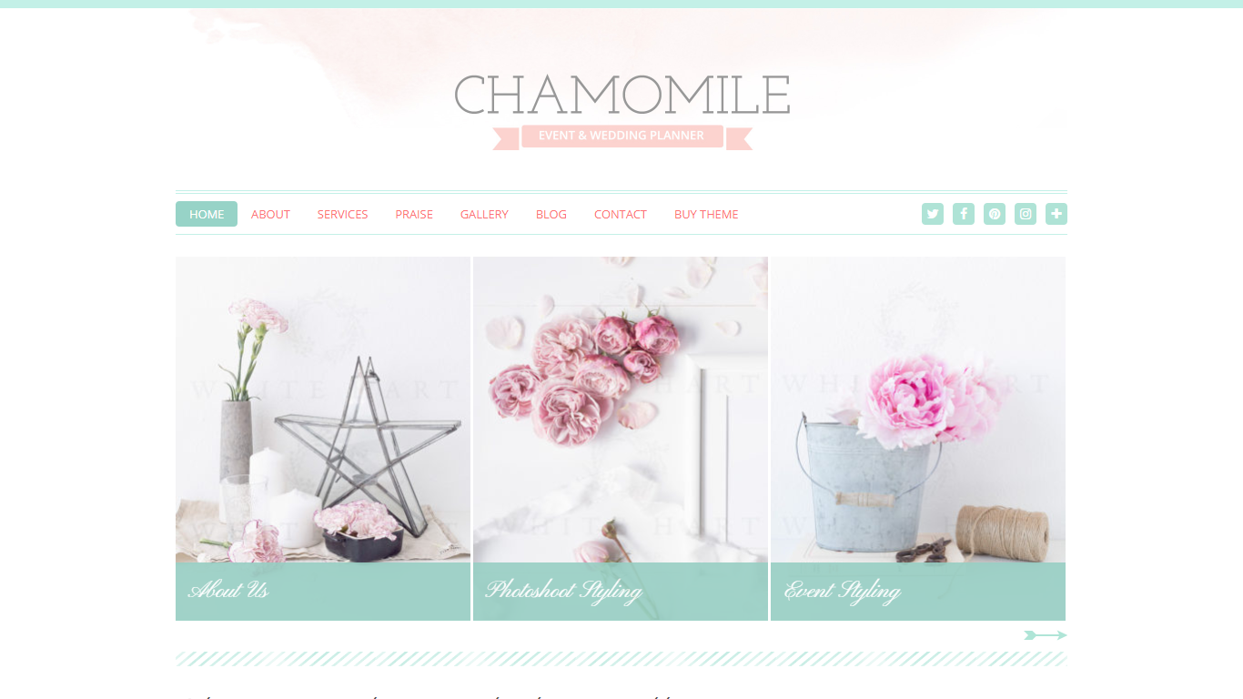 Best Fashion WordPress Themes: Top 14 79 fashion theme by chamomile
