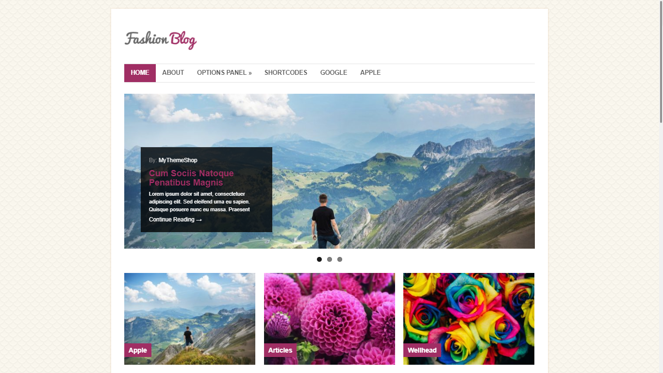 Best Fashion WordPress Themes: Top 14 78 fashion theme by fashion blog1