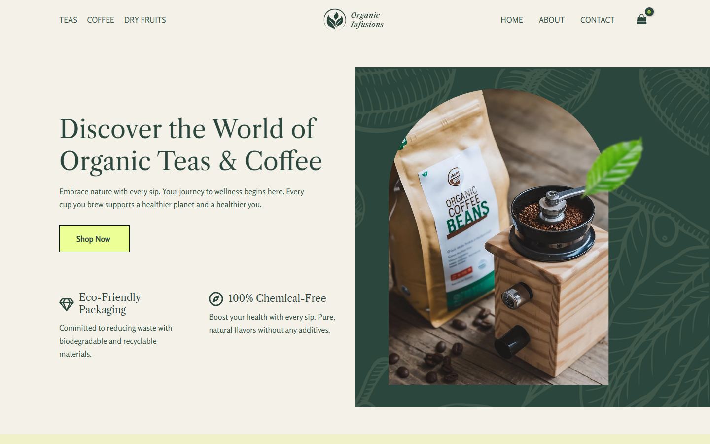 Astra demo homepage