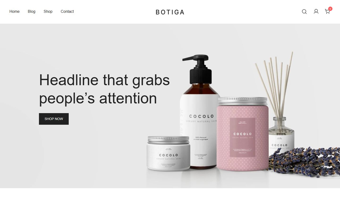 Botiga demo homepage